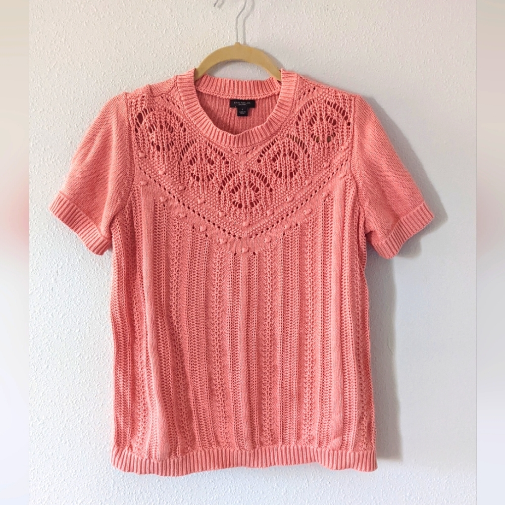 Ann Taylor Knit Top